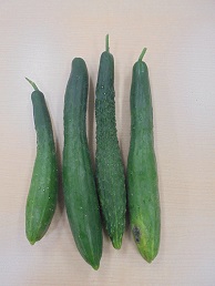 DSC01119