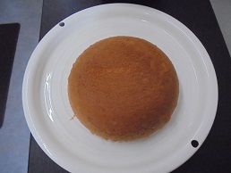 DSC01239