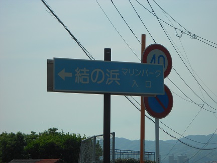 DSCN6955