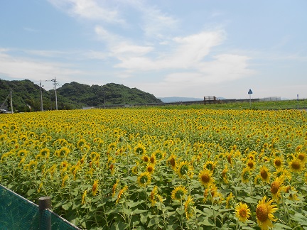 DSCN7626
