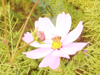 DSCN9997