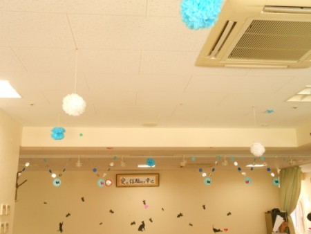 DSCN2229