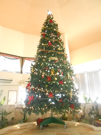 DSCN2805