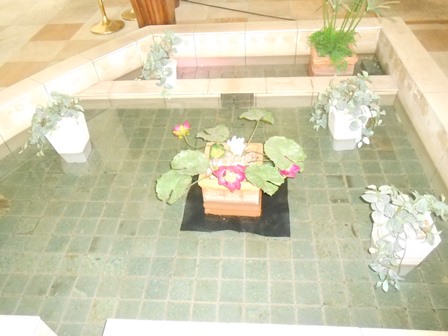 DSCN2808
