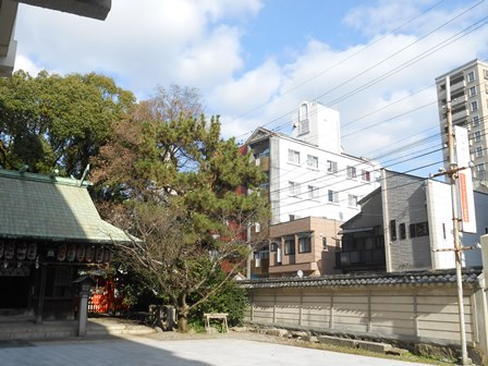DSCN2972