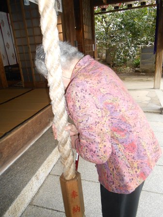 DSCN3037