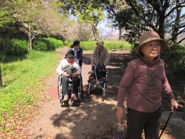 花見散歩