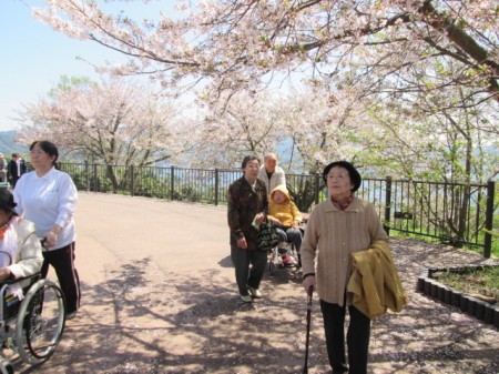 花見散歩2